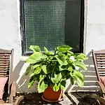 Casa vacanze Luna E Basilico By Casa Di Marco *