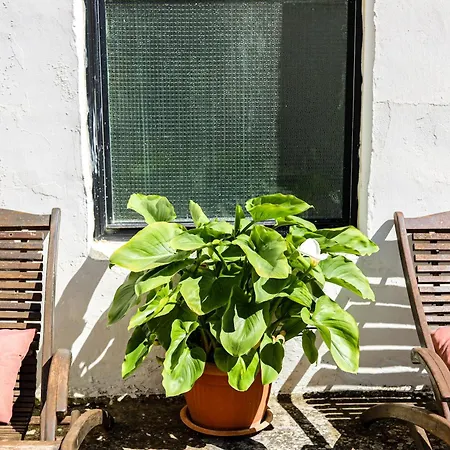 Semesterbostad Luna E Basilico By Casa Di Marco Ap6 *